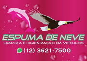 Espuma de Neve Limpeza e Higienização em Veículos em Taubaté