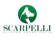 SCARPELLI Clínica Veterinária