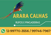 Arara Calhas Rufos e Pingadeiras em Pindamonhangaba