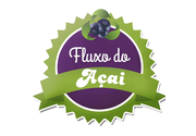 Fluxo do açaí