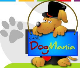 Canil Dog Mania