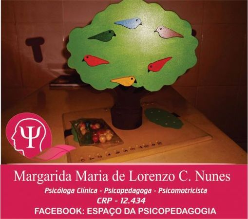 Neuro Equilibra - Margarida Maria de Lorenzo C. Nunes CRP 12.434 Neuropsicóloga