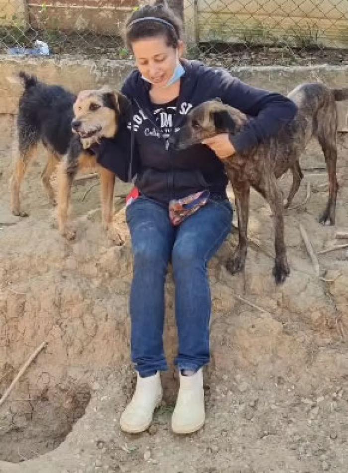 Danielle Uchôas Adestradora de Cães e Cuidadora de Animais