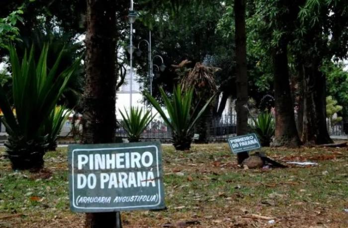 Parque Doutor Barbosa de Oliveira