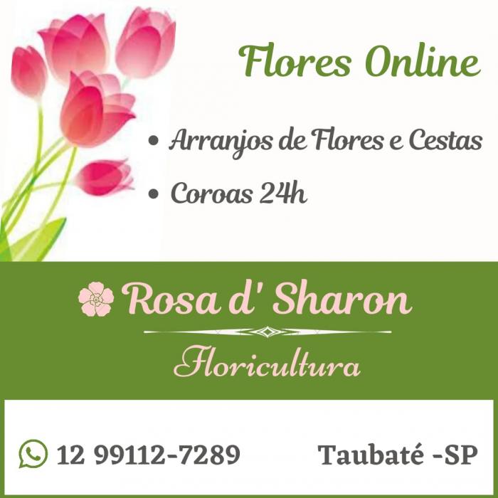 Rosa D' Sharon Floricultura