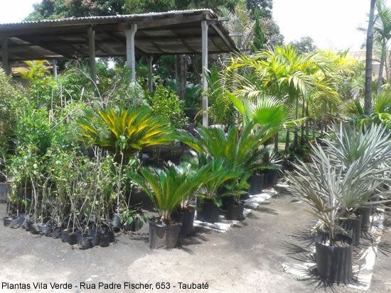 Plantas Vila Verde 